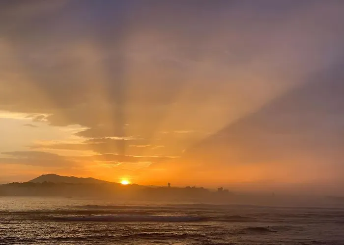 Les Pieds Dans L Eau *
